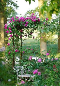 a white bench sitting in the middle of a lush green park filled with pink flowers