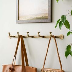 two purses hanging from hooks on a wall next to a painting and potted plant