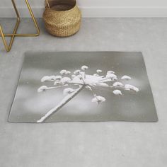 a black and white photo of a plant with snow on it's petals rug