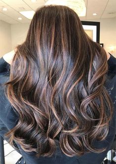 Hilights For Brunettes, Hair Color Brown Chestnut, Hair Colors To Try, Chestnut Brown Hair, Chestnut Hair Color, Fall Hair Color Trends, Brunette Balayage Hair, Caramel Highlights