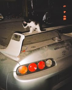 a cat is standing on the hood of a sports car in the street at night