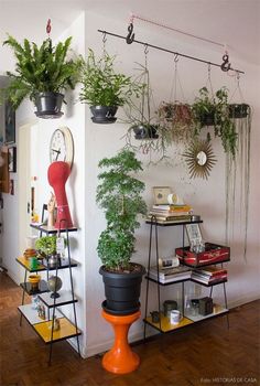 some plants are hanging on the wall in this room