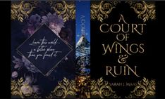 a court of wings and ruin book cover