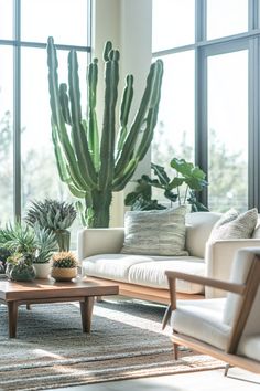 a living room with couches, chairs and a large cactus in the window sill