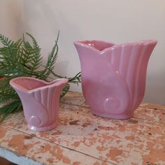 two pink vases sitting on top of a table next to a fern leafy plant