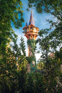 the tower is surrounded by trees and bushes