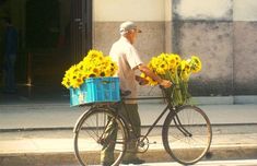 an old man is riding his bike with sunflowers in the basket