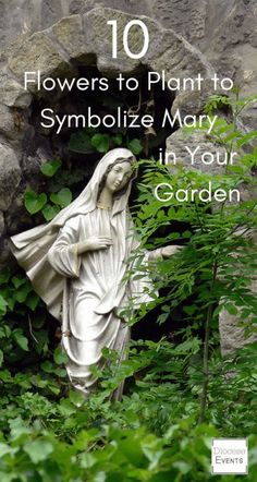 an image of a statue in the grass with text that reads 10 flowers to plant to symbolize mary in your garden