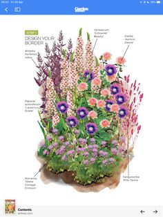 an image of flowers in the garden with their names and description on it's screen