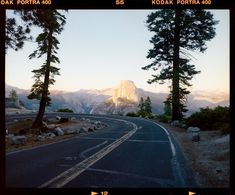 an image of a road with trees and mountains in the background