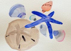 Sea Collection Linckia and Sand Dollar | 7 h x 10 w - Liza Pruitt Blues Artists, Arches Paper, Beach Watercolor, Watercolor Sketch, Sand Dollar, Blue Watercolor, Easy Paintings, 7 H, Sea Life