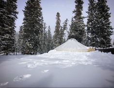 a tent in the middle of a snow covered field surrounded by pine trees on a cloudy day