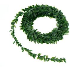 a long green leafy garland is shown on a white background, with one end curled up in the shape of a circle