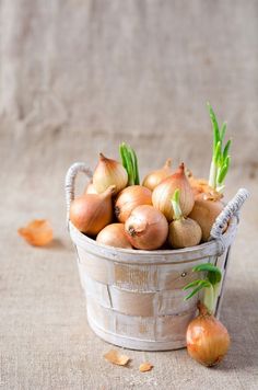 a basket filled with onions sitting on top of a table