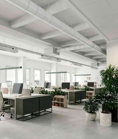 an empty office with plants and desks