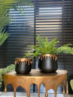 two planters sitting on top of a table