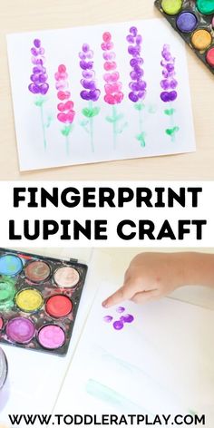 fingerprint lupine craft for toddlers to make with watercolors and paint