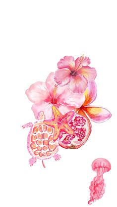 a watercolor painting of pink flowers and a pomegranate on a white background