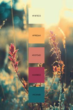 the color palette is different shades of pink, blue and yellow in this photo with grass