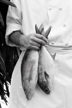 a chef holding two fish in his hands