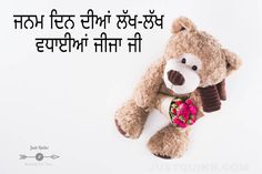 a brown teddy bear holding a pink flower