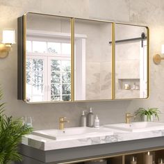 a bathroom with two sinks, mirrors and plants in front of the sink countertop