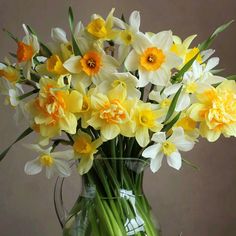 a vase filled with yellow and white flowers