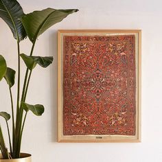 a large red rug hanging on the wall next to a potted plant with green leaves