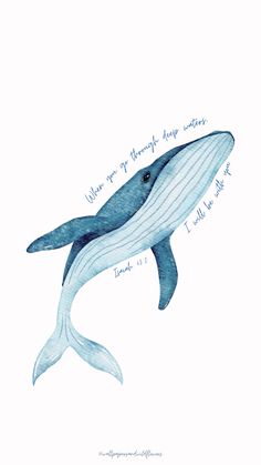 a drawing of a blue whale with words written on it