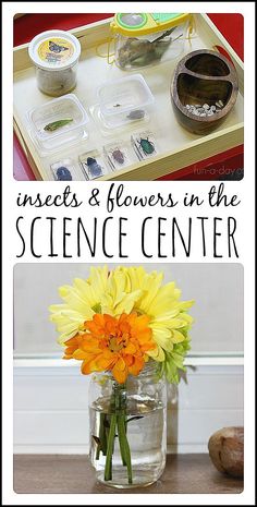 the science center is filled with flowers, rocks and magnets to help kids learn how to use them