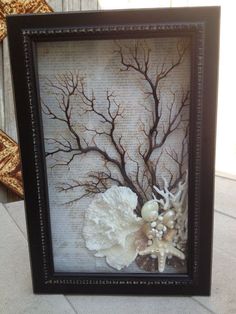 a frame with some corals and sea shells in it on the ground next to a wall