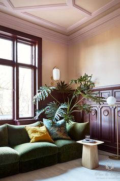 a living room filled with furniture and a potted plant