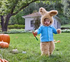 a little boy dressed up as an easter bunny with carrots in front of him