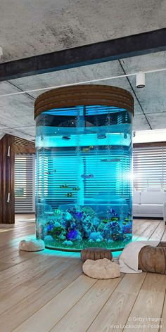 an aquarium in the middle of a room with wooden flooring and walls that have shutters on them