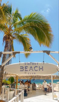 a white surfboard sitting under a palm tree