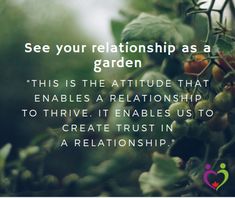 some berries hanging from a tree with the caption see your relationship as a garden