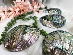 four seashells are laying on a white fur covered floor next to pink flowers