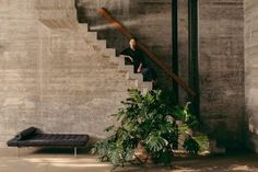 a man is standing on the stairs next to a plant and a couch in front of him