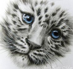 a drawing of a white tiger cub with blue eyes