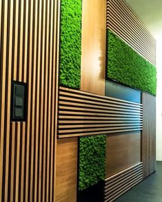 a green wall in an office with wood panels and grass growing on the side of it