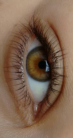 an extreme close up shot of the eye of a woman with brown and black lashes