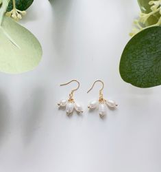 Embrace timeless sophistication with our Elegant Freshwater Pearl Drop Earrings, a perfect blend of classic charm and modern grace. These earrings feature lustrous freshwater pearls suspended from delicate gold accents, creating an ethereal dangle that dances with your every movement. Crafted with care, each pearl is selected for its radiant sheen and smooth surface, ensuring that your earrings not only look exquisite but also embody the highest quality. The gold accents provide a warm, luxuriou Freshwater Pearl Drop Earrings, Earrings Classic, Daily Gift, Dance With You, Earrings Dainty, Classic Gold, Gold Accent, Pearl Drop Earrings, Pearl Drop