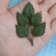 a small green leaf is held in someone's hand