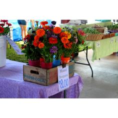 an assortment of flowers are on display at the farmers'market for $ 3, 800