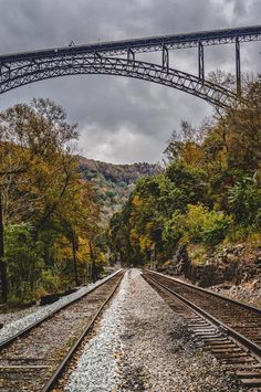 an old train track going under a bridge in the woods with fall foliage on it