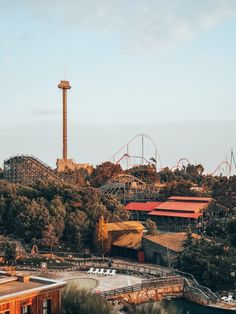 an amusement park with roller coasters and trees