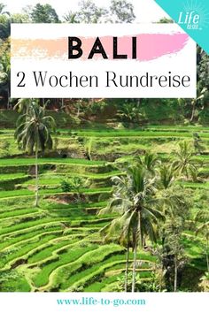 the rice fields in bali with text overlaying it that reads, 2 wochen rundreise