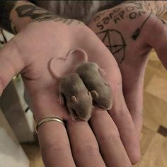 a person holding a tiny mouse in their hand with tattoos on it's arm