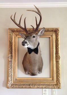 a deer's head mounted on the wall in front of a gold frame with a black bow tie