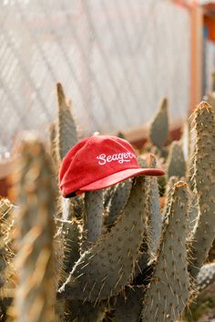 The Big Red is made of 100% cotton corduroy and features an embroidered Seager Script font.  With its slight structure and timeless design, the Big Red is a standout. #westerngrit Corduroy Hat With Curved Brim, Casual Corduroy Snapback Hat With Curved Brim, Casual Red Hat For Everyday, Red Casual 5-panel Dad Hat, Casual Red 5-panel Dad Hat, Casual Corduroy Flat Brim Hat, Casual Flat-brim Corduroy Hat, Casual Corduroy Hat With Flat Brim, Red Adjustable 5-panel Dad Hat